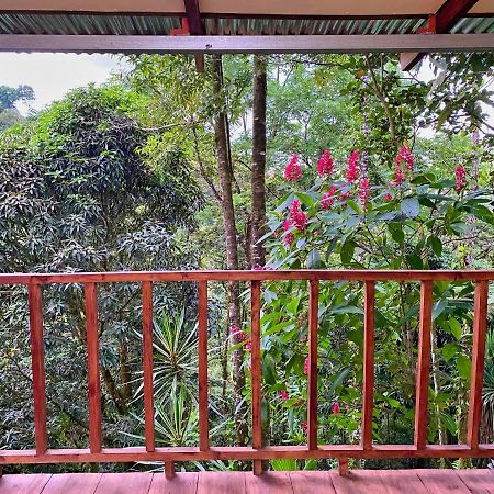 Princesa De La Luna Ecolodge La Fortuna Εξωτερικό φωτογραφία