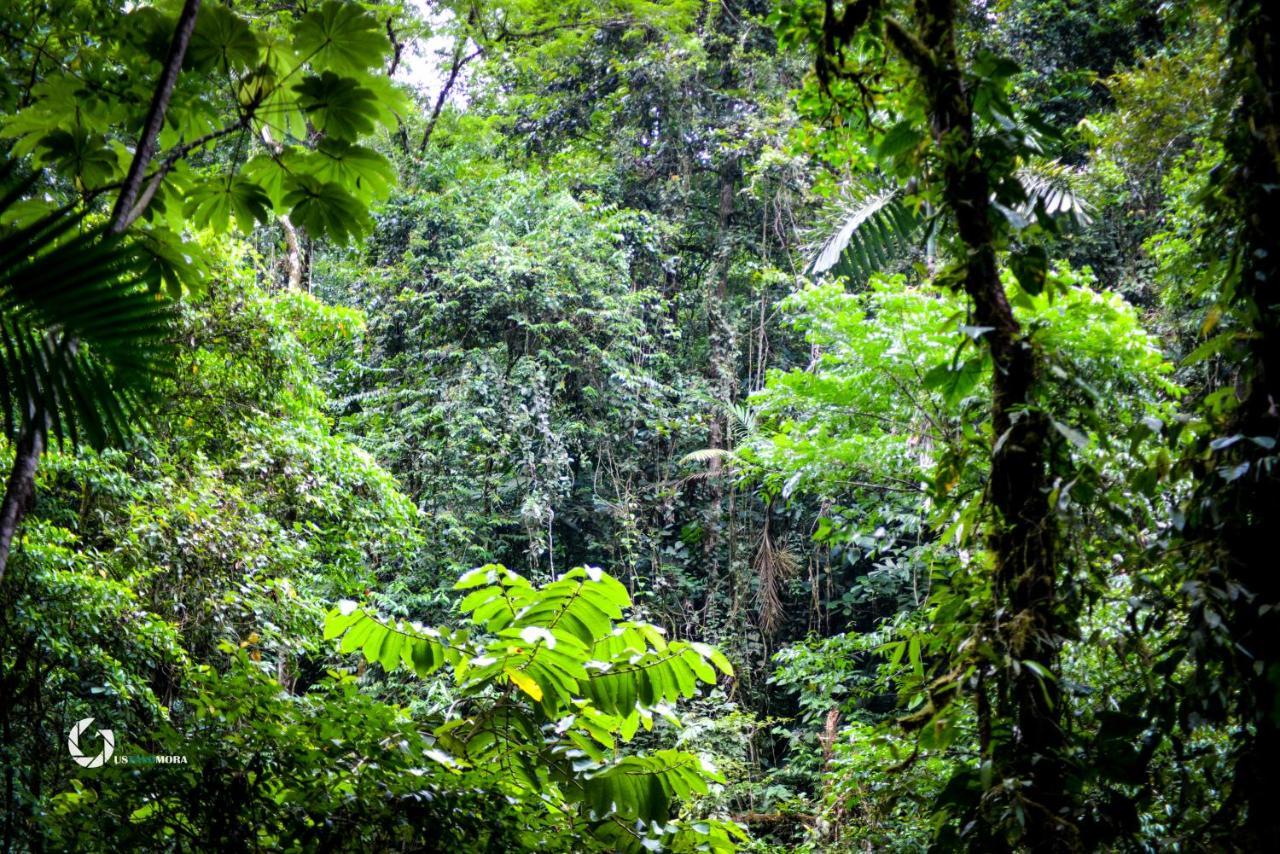 Princesa De La Luna Ecolodge La Fortuna Εξωτερικό φωτογραφία