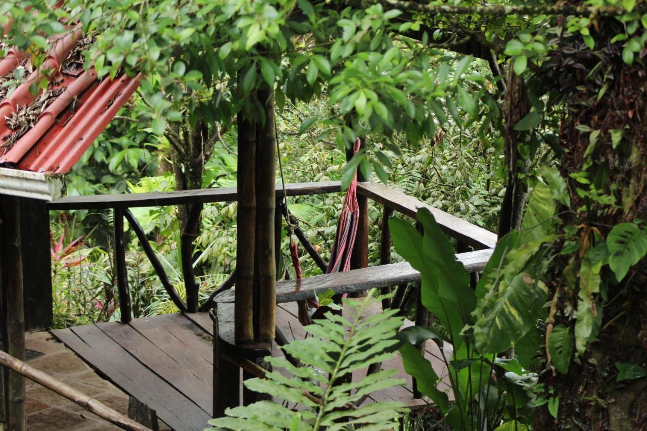 Princesa De La Luna Ecolodge La Fortuna Εξωτερικό φωτογραφία