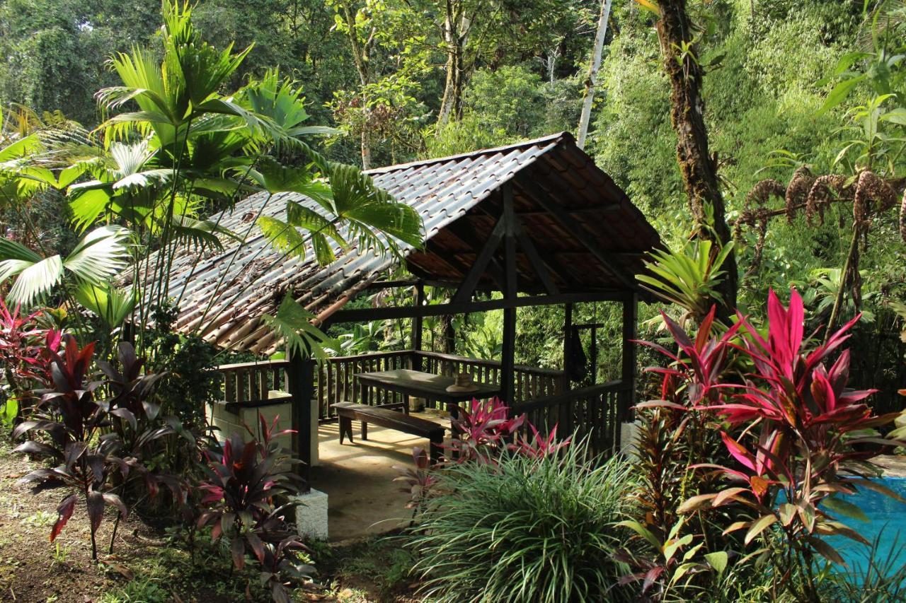 Princesa De La Luna Ecolodge La Fortuna Εξωτερικό φωτογραφία
