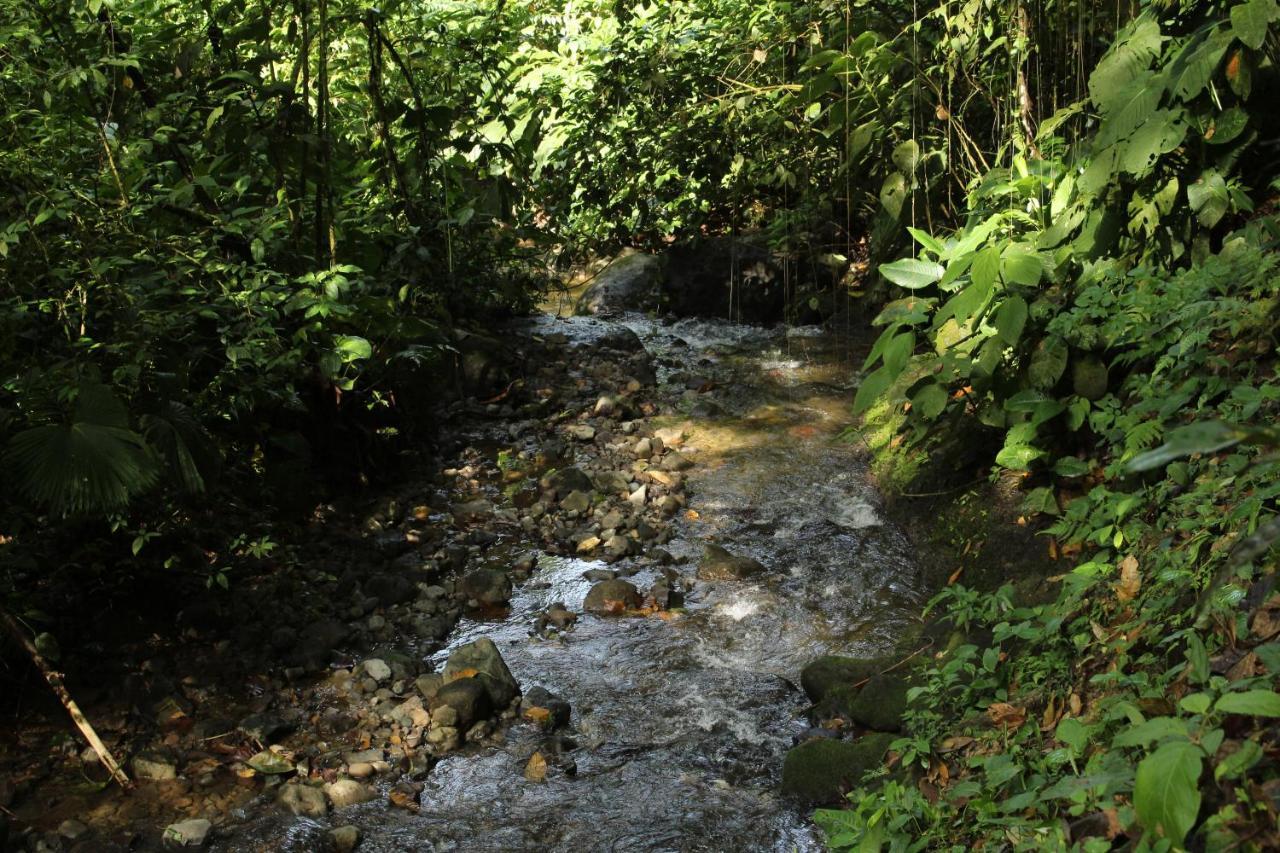 Princesa De La Luna Ecolodge La Fortuna Εξωτερικό φωτογραφία