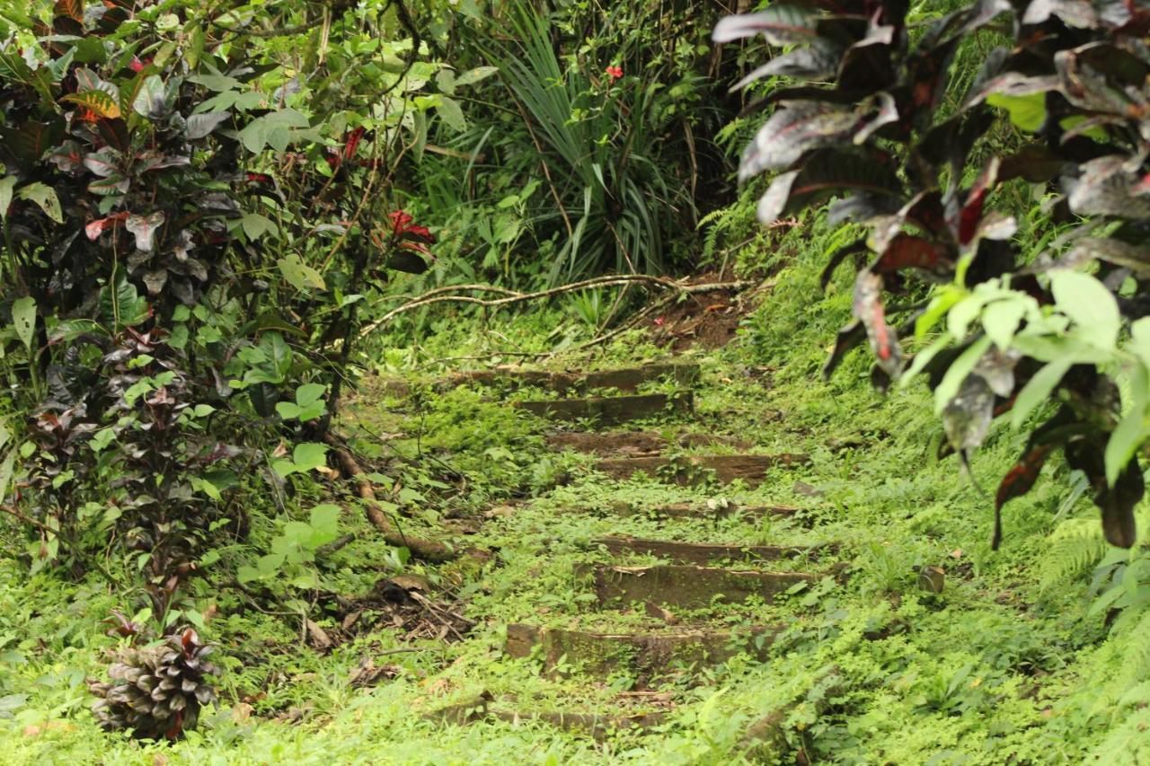 Princesa De La Luna Ecolodge La Fortuna Εξωτερικό φωτογραφία
