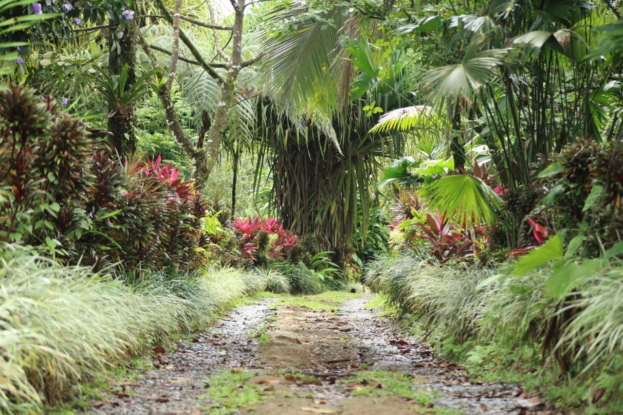 Princesa De La Luna Ecolodge La Fortuna Εξωτερικό φωτογραφία