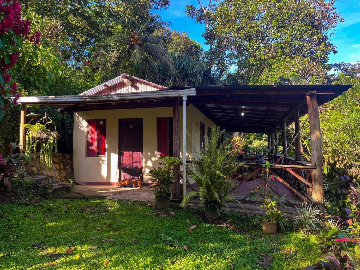 Princesa De La Luna Ecolodge La Fortuna Εξωτερικό φωτογραφία