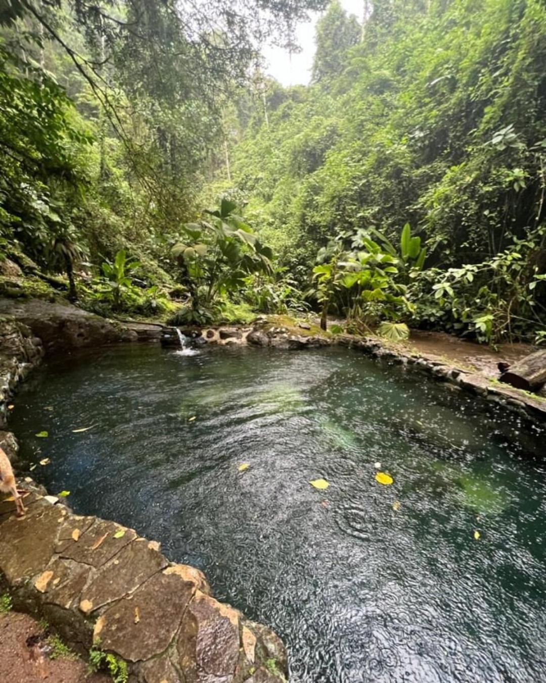 Princesa De La Luna Ecolodge La Fortuna Εξωτερικό φωτογραφία