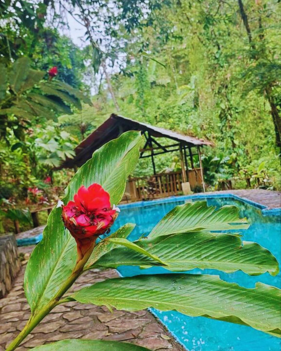 Princesa De La Luna Ecolodge La Fortuna Εξωτερικό φωτογραφία