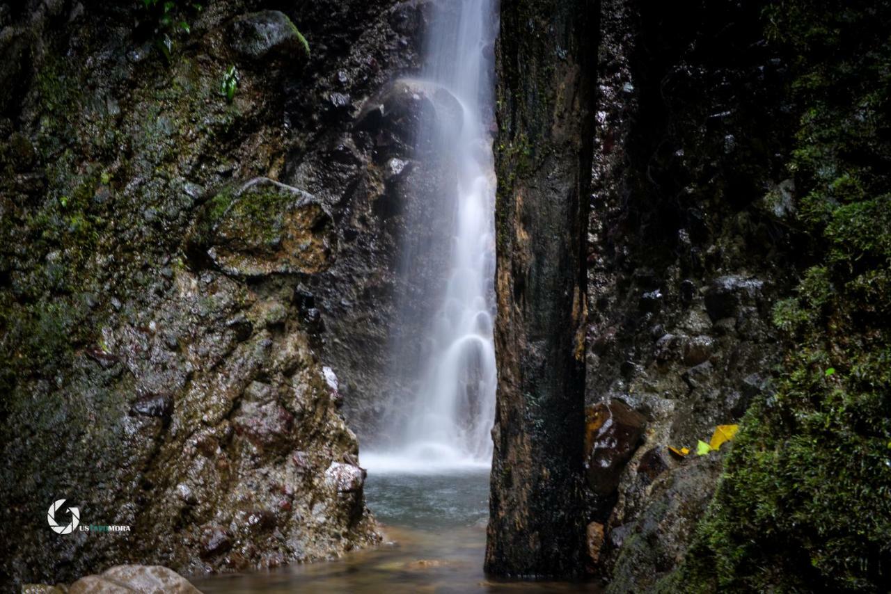 Princesa De La Luna Ecolodge La Fortuna Εξωτερικό φωτογραφία