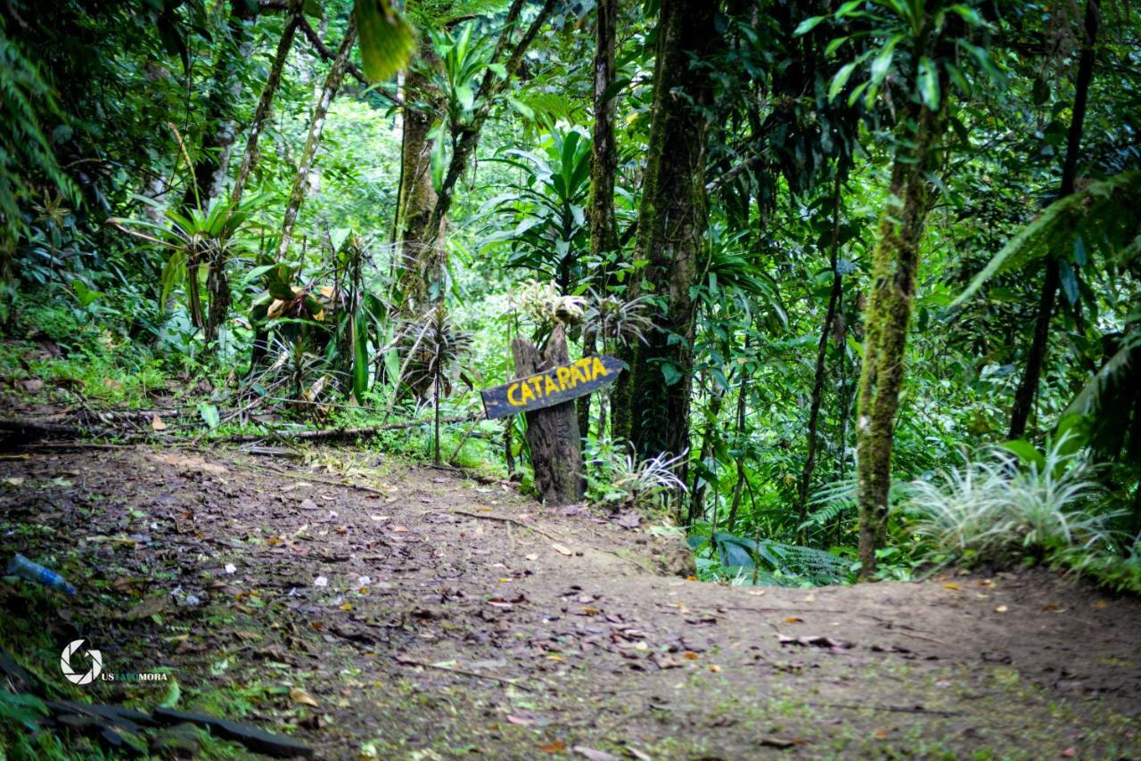 Princesa De La Luna Ecolodge La Fortuna Εξωτερικό φωτογραφία