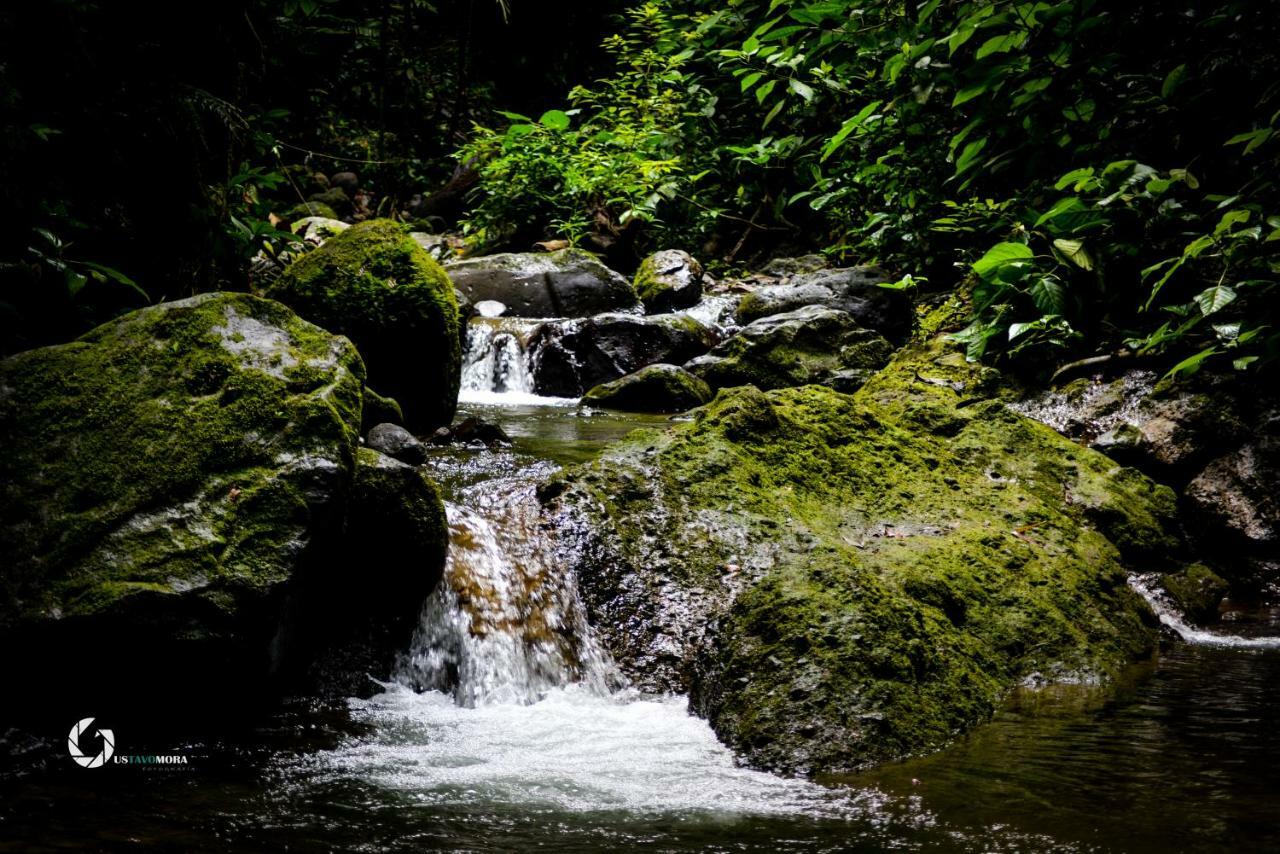 Princesa De La Luna Ecolodge La Fortuna Εξωτερικό φωτογραφία