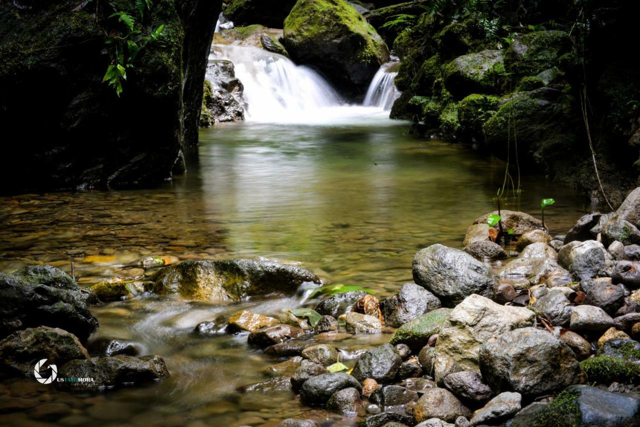 Princesa De La Luna Ecolodge La Fortuna Εξωτερικό φωτογραφία