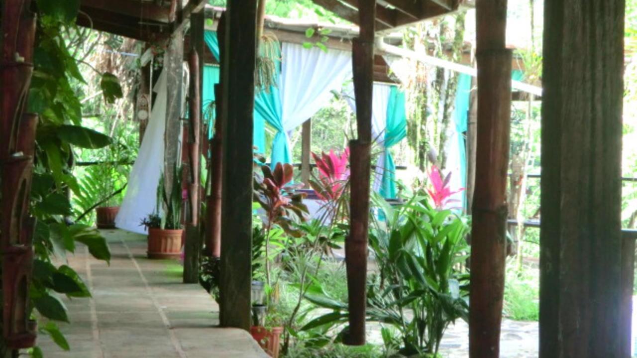 Princesa De La Luna Ecolodge La Fortuna Εξωτερικό φωτογραφία
